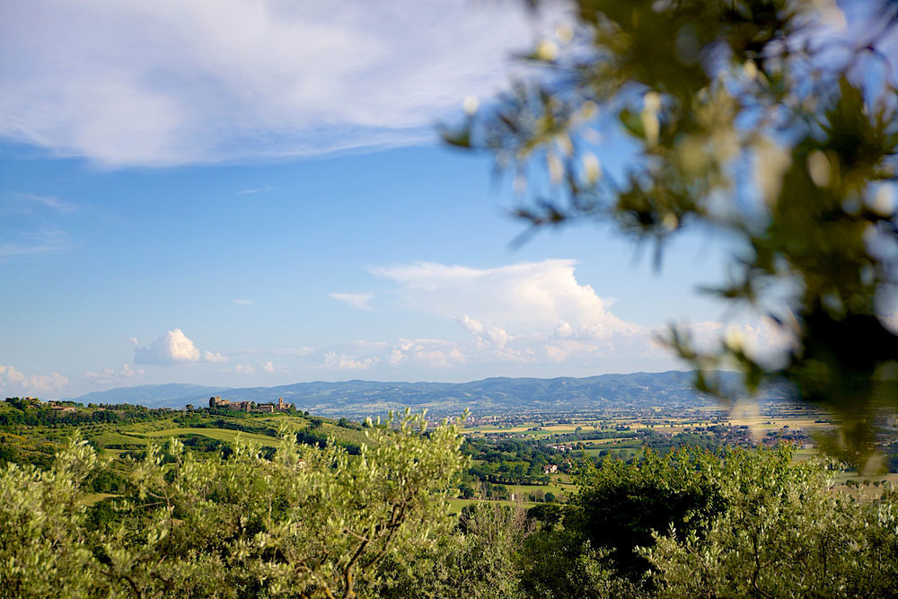 Le Colombe Assisi